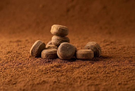 How Frozili Was Born? A story of sugar, science, and stubbornness - frozili｜Curiously Icy Candy